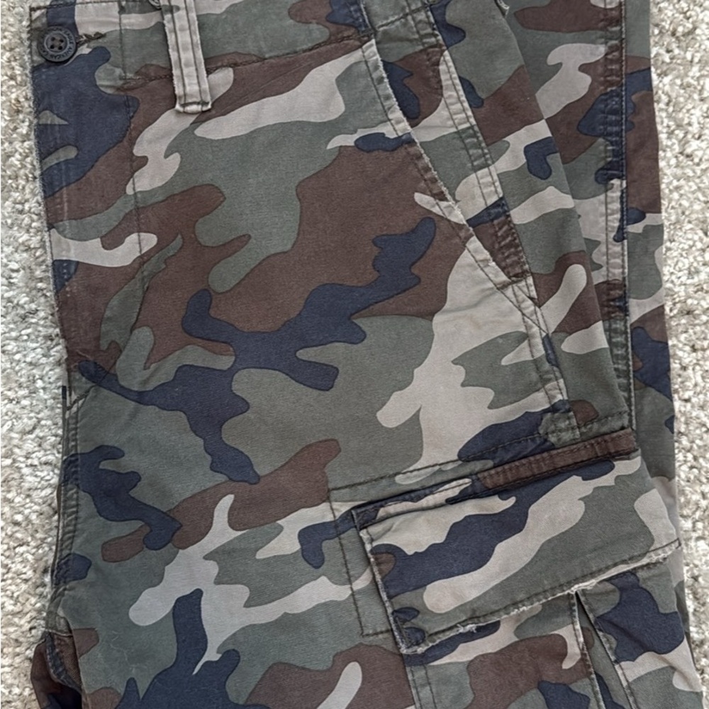 American Eagle Outfitters Green and Brown Cargo Pants